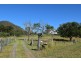 1753 Murphys Creek Road, Murphys Creek QLD 4352