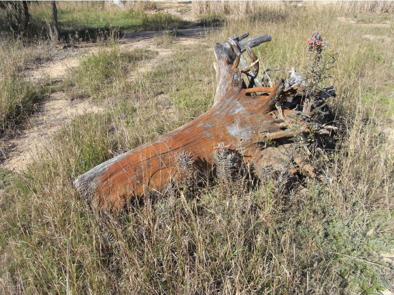 Lot 2 Grantham Scrub Road, Veradilla QLD 4347