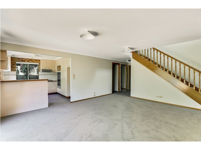 1 Tracey Street, Rangeville QLD 4350