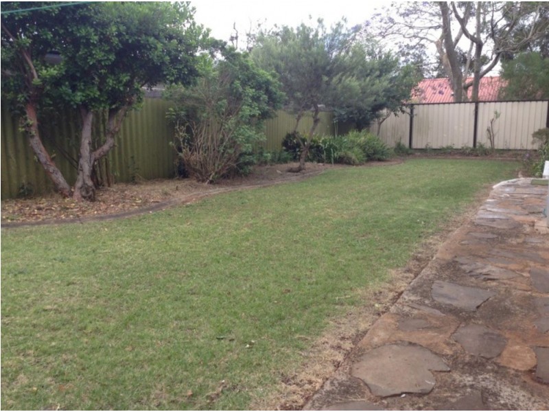 3 Oxford Court, Darling Heights QLD 4350