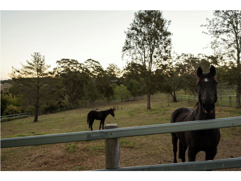 281 Kearney Street, Top Camp QLD 4350