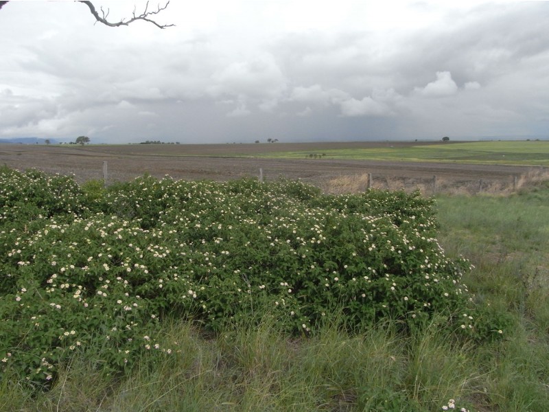 47 Gerald Lane, Greenmount QLD 4359