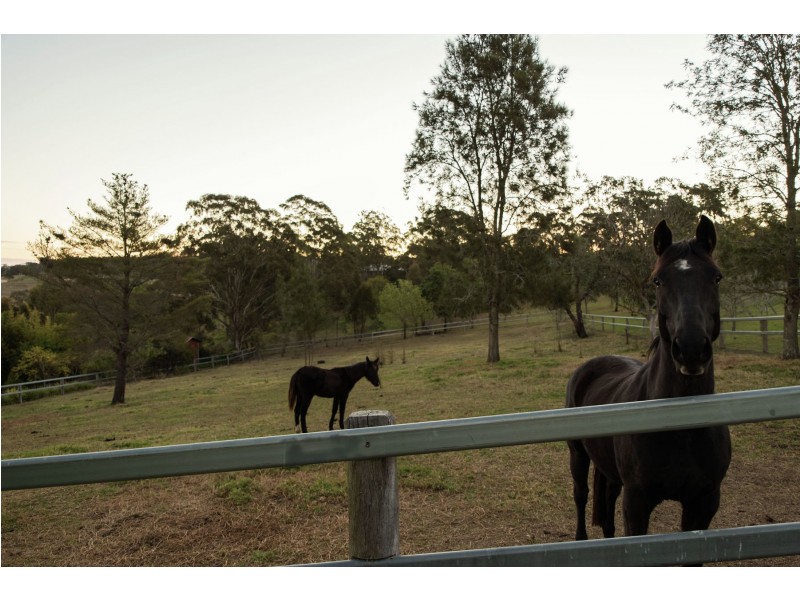 281 Kearney Street, Top Camp QLD 4350