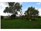 81 Glencoe-Yalangur Road, Glencoe QLD 4352