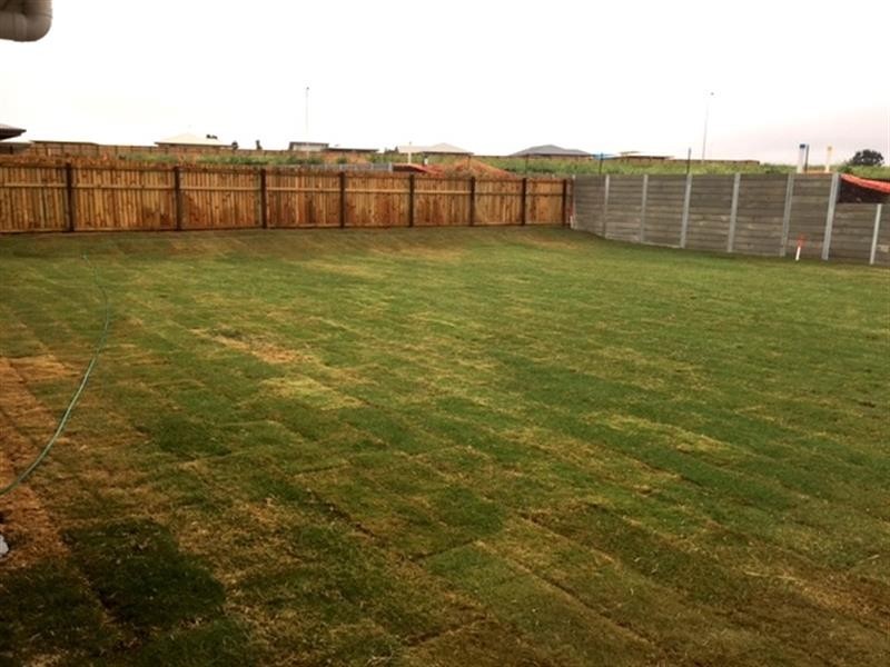 21 Cashmore St, Wyreema QLD 4352