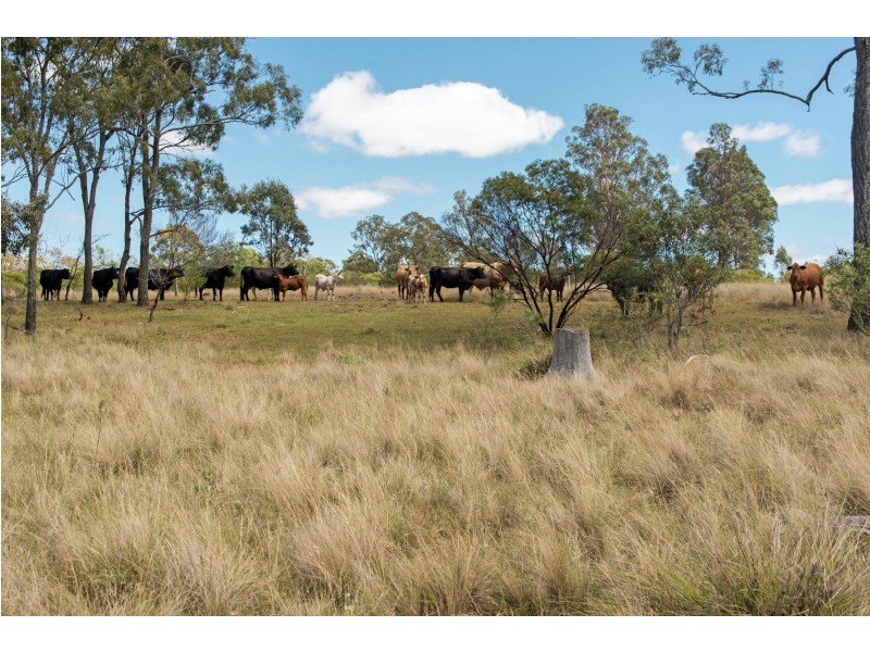 193 Neuve Bergen Road, Bergen QLD 4353