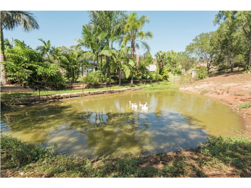 3 Debra Street, Withcott QLD 4352