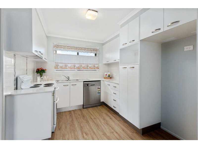 6 Magnolia Street, Centenary Heights QLD 4350