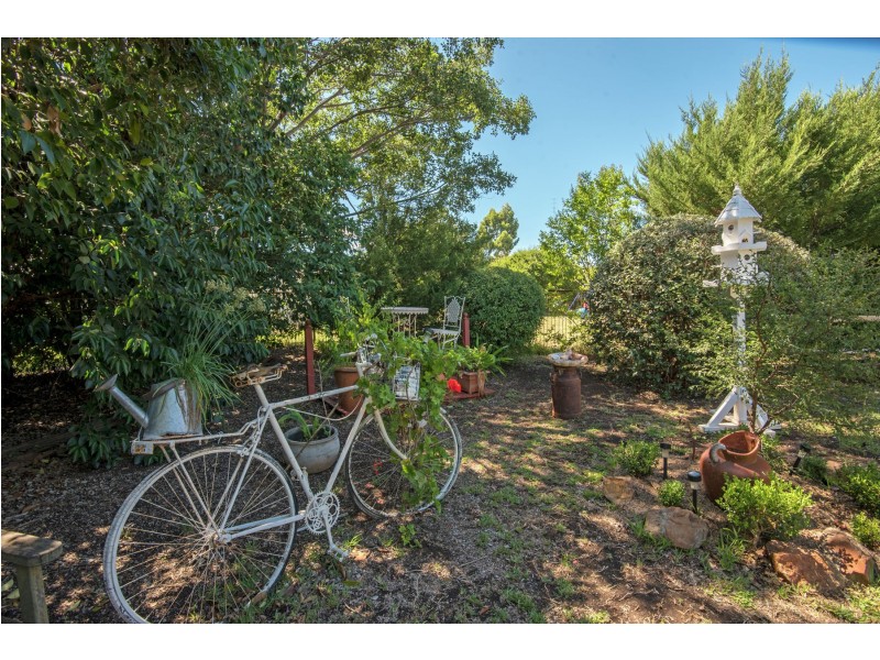 56 Kates Street, Clifton QLD 4361