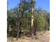 Lot 8 Wallaby Drive, Cypress Gardens QLD 4357