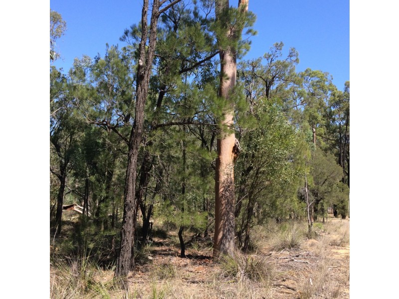 Lot 8 Wallaby Drive, Cypress Gardens QLD 4357