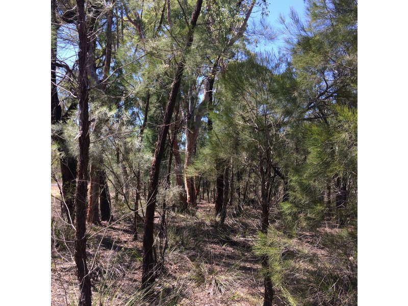 Lot 8 Wallaby Drive, Cypress Gardens QLD 4357