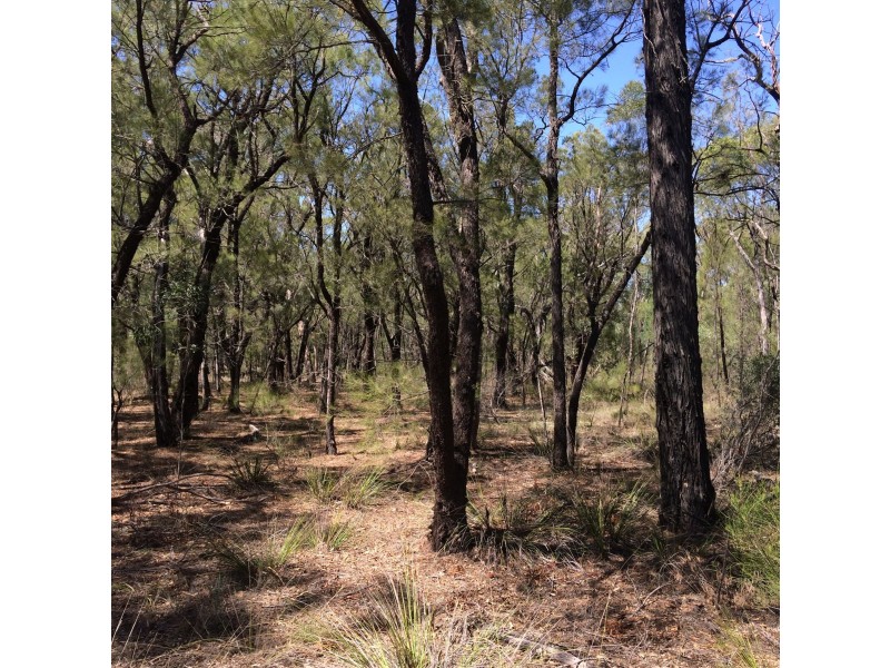Lot 8 Wallaby Drive, Cypress Gardens QLD 4357