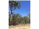 Lot 8 Wallaby Drive, Cypress Gardens QLD 4357