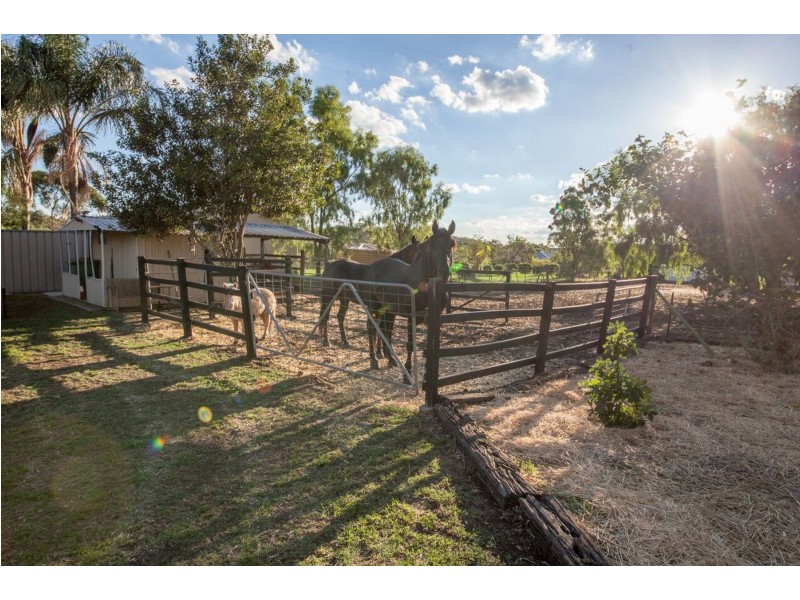 7 Pizzoni Road, Glenvale QLD 4350