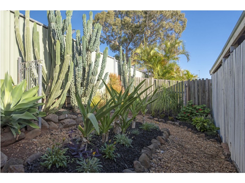 8 Saratoga Close, Wilsonton QLD 4350