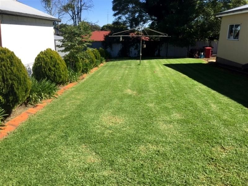 55 Llewellyn Street, Centenary Heights QLD 4350