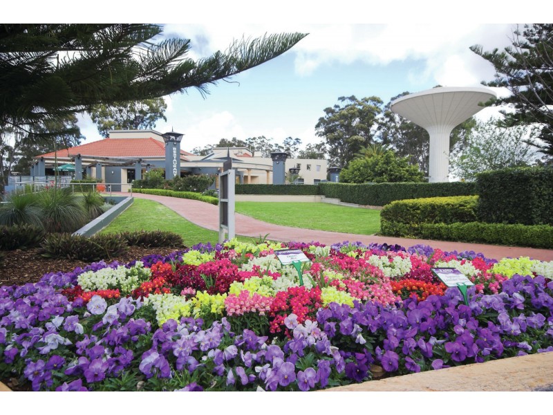 3/14 Plant Street, Rangeville QLD 4350