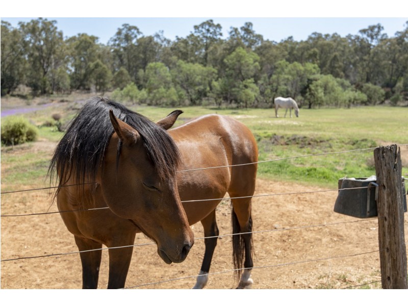 3 Guy Road, Douglas QLD 4354