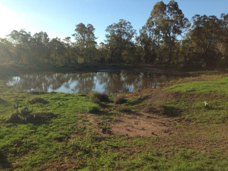 3 Guy Road, Douglas QLD 4354