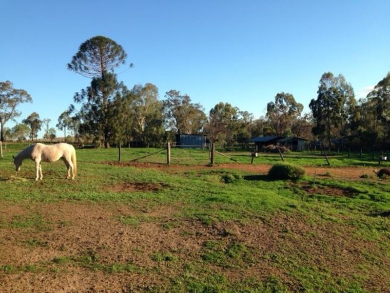 3 Guy Road, Douglas QLD 4354