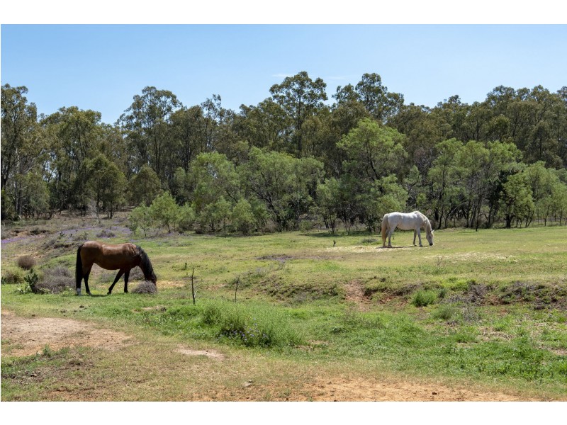 3 Guy Road, Douglas QLD 4354