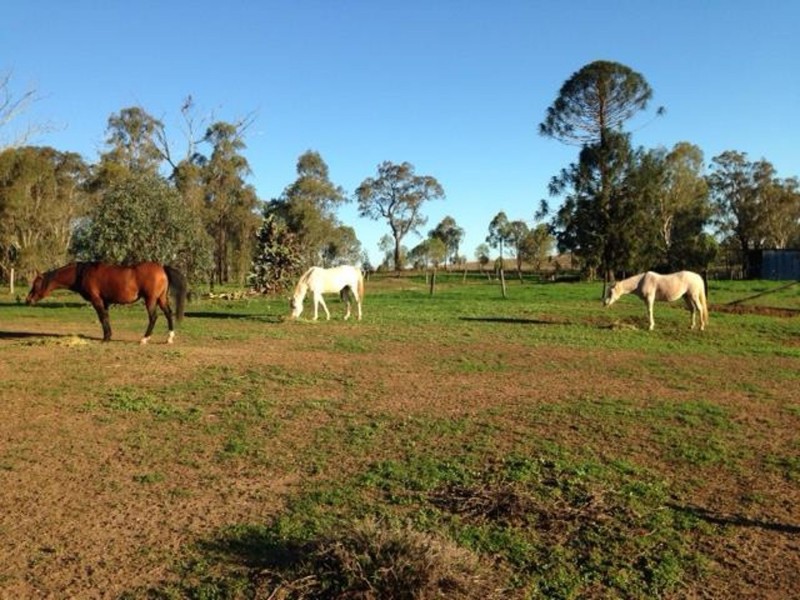 3 Guy Road, Douglas QLD 4354