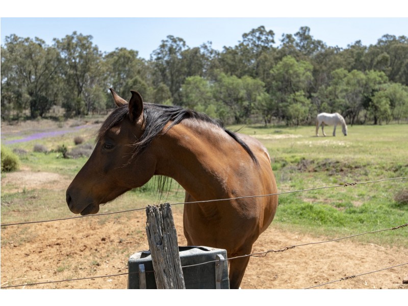 3 Guy Road, Douglas QLD 4354
