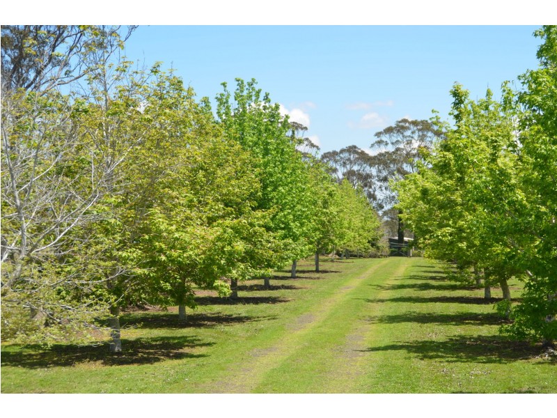 15 Harrison Road, Ramsay QLD 4358