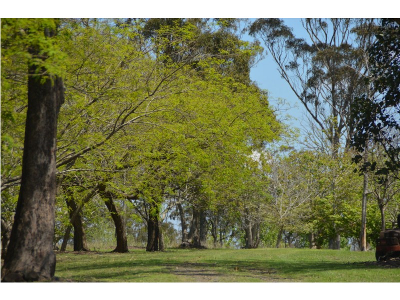 15 Harrison Road, Ramsay QLD 4358