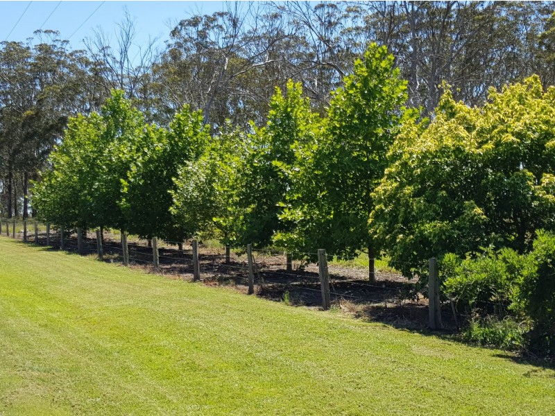 15 Harrison Road, Ramsay QLD 4358
