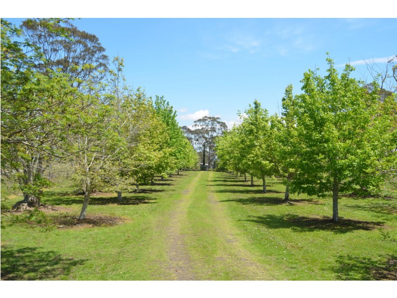 15 Harrison Road, Ramsay QLD 4358