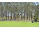15 Harrison Road, Ramsay QLD 4358