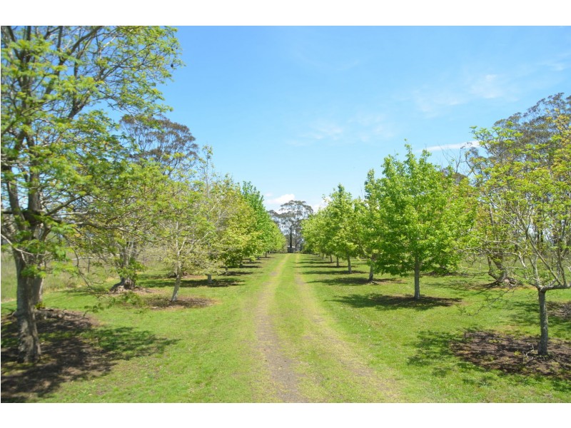 15 Harrison Road, Ramsay QLD 4358