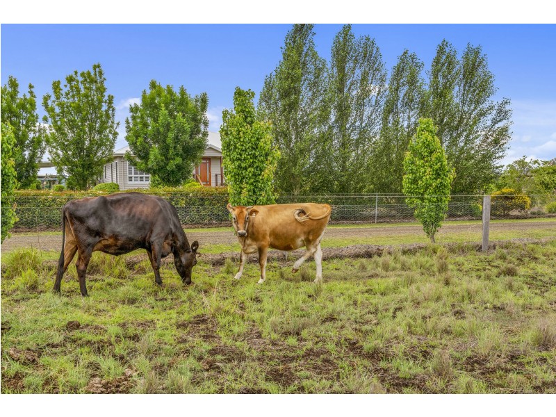 39 Budgee Road, Ascot QLD 4359