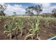 3 O’Rourke Road, Budgee QLD 4359