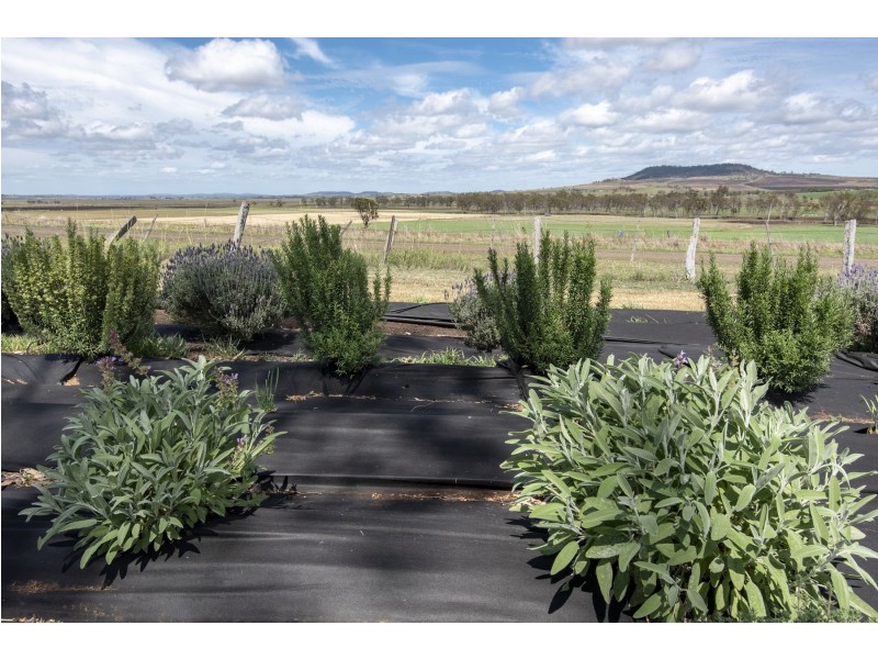 3 O’Rourke Road, Budgee QLD 4359