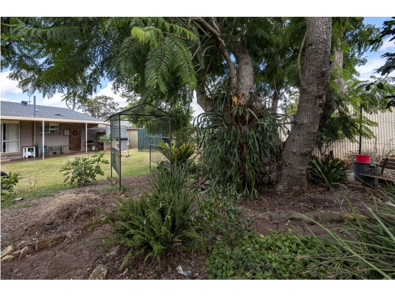 3 Stella Court, Wilsonton QLD 4350