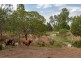 20 Dolleys Road, Withcott QLD 4352