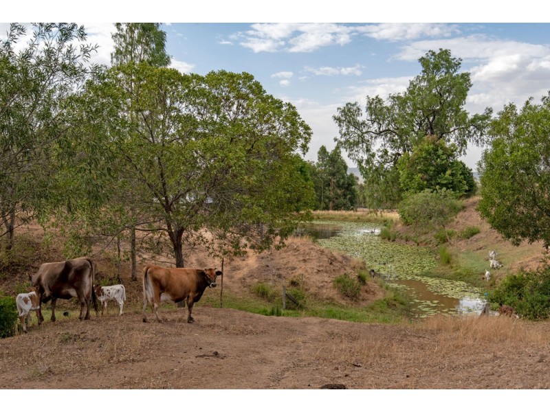 20 Dolleys Road, Withcott QLD 4352