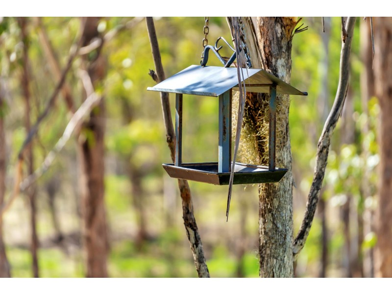 18 Mary Drive, Murphys Creek QLD 4352