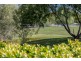 5 Waldron Road, Hatton Vale QLD 4341