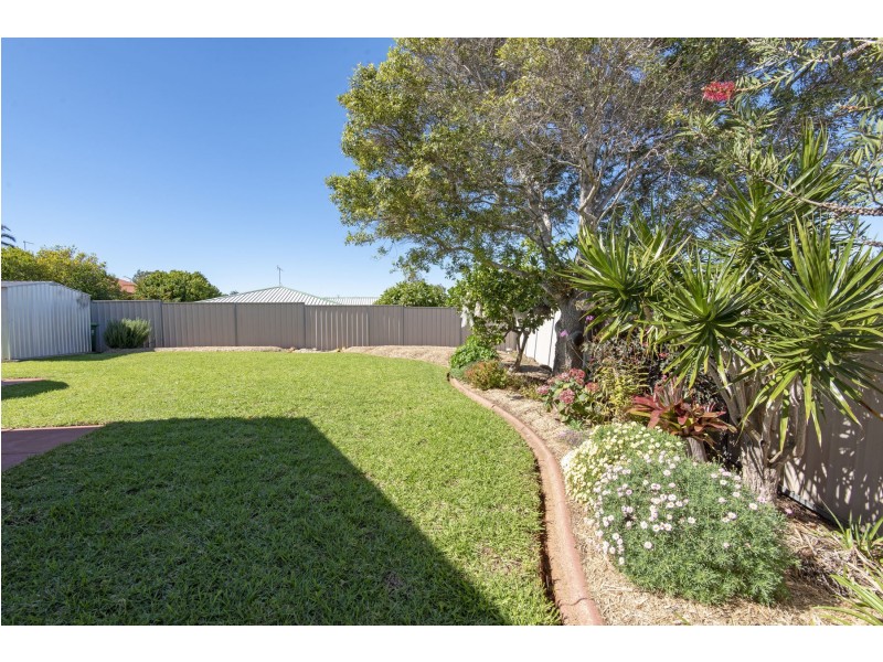 20 Black Court, Wilsonton QLD 4350
