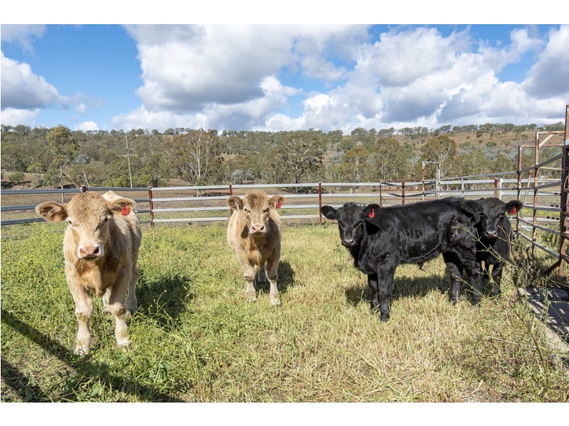 150 Sawpit Road, Ramsay QLD 4358