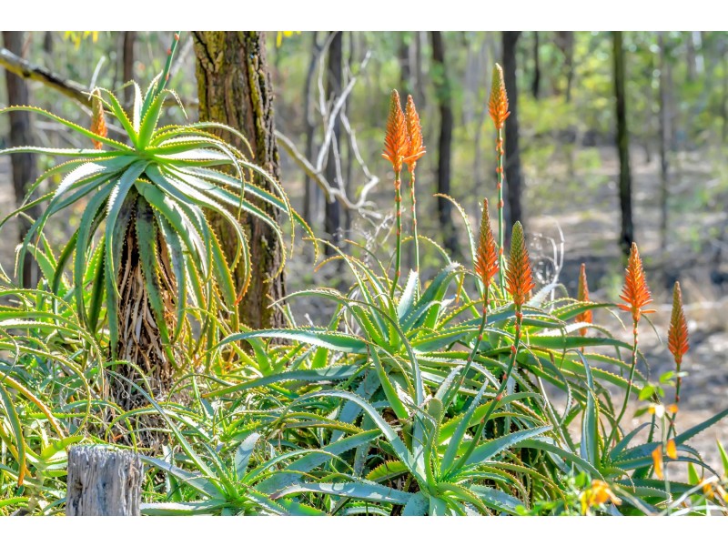 771 Murphys Creek Road, Upper Lockyer QLD 4352