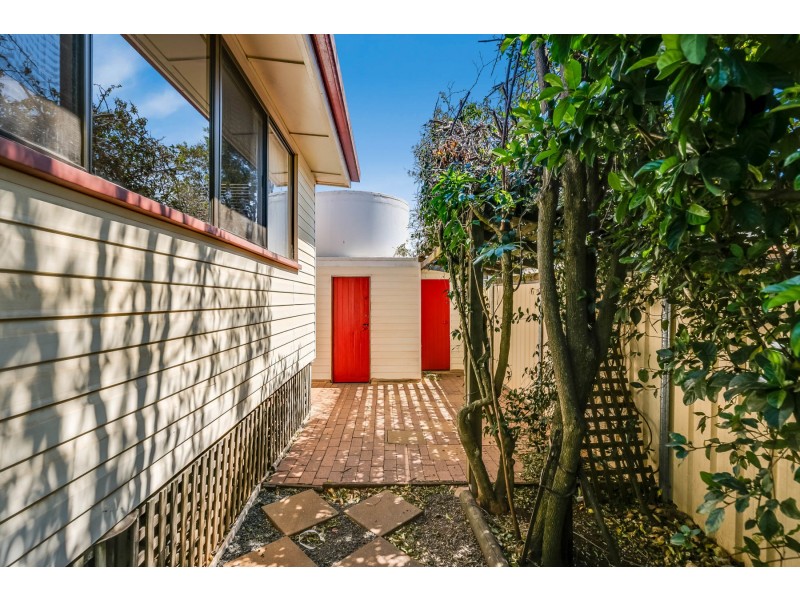 11 Jenkins Street, Newtown QLD 4350