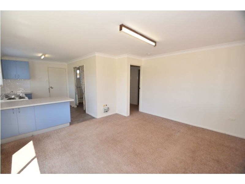 1/9 Marigold Street, Centenary Heights QLD 4350