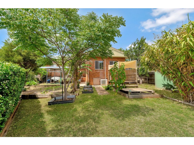 3 Cassia Street, Centenary Heights QLD 4350