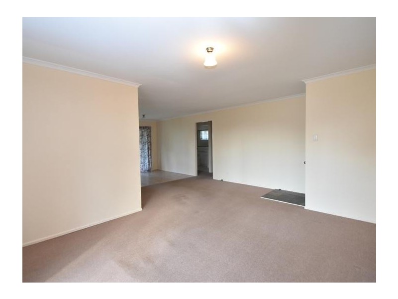 53 Brigalow Street, Newtown QLD 4350