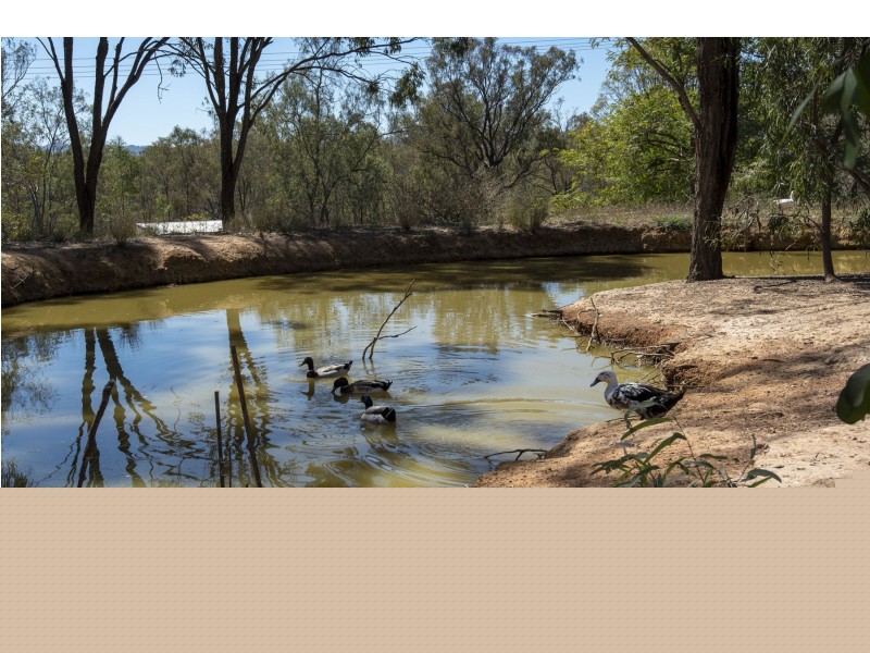 17 Koreelah Street, Upper Lockyer QLD 4352